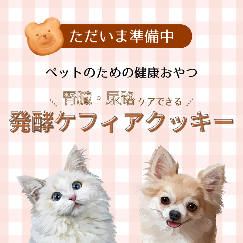 【10月中販売開始予定】発酵ケフィアクッキー（腎臓・尿路ケア）ペット用