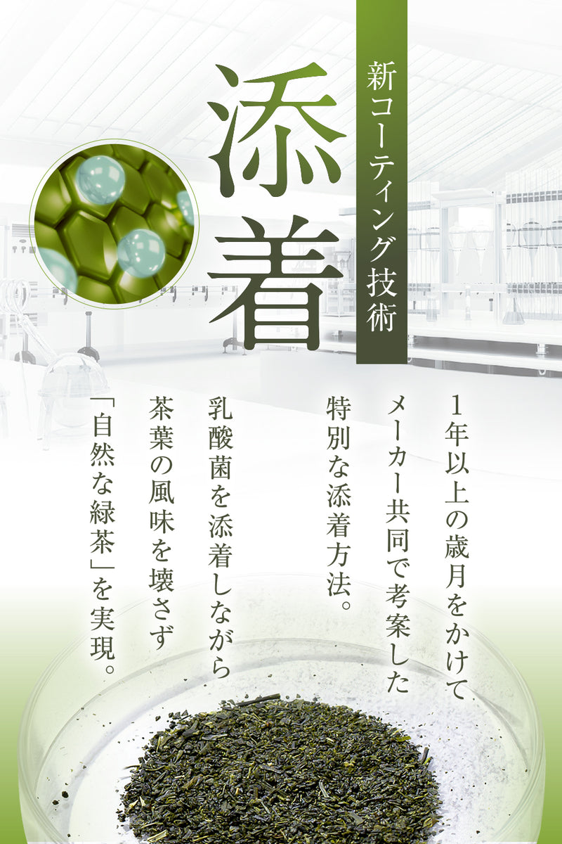 BIOLY ワインセラー熟成茶 Wの乳酸菌 10包×3g 健康茶（メール便、送料無料）
